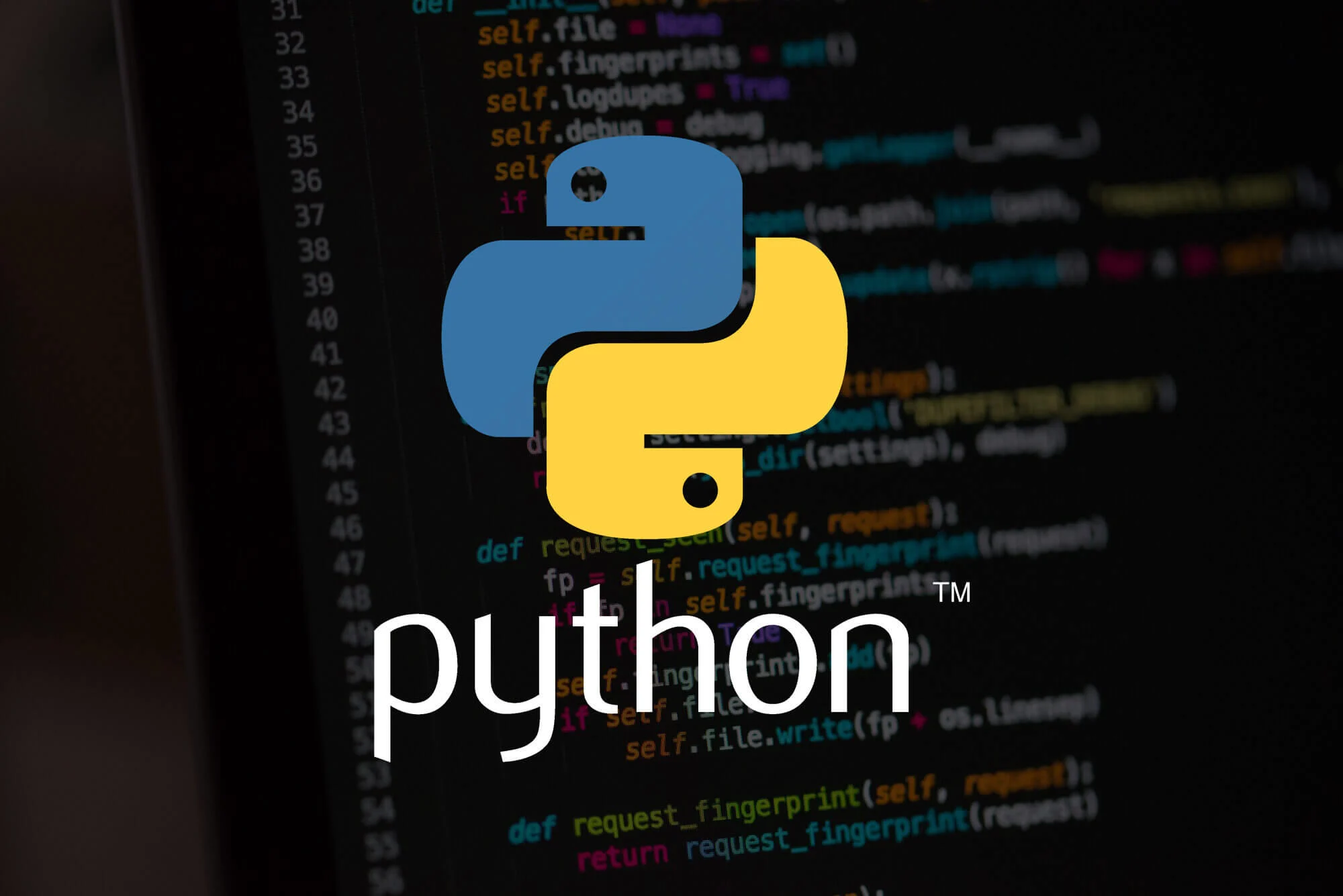 “What Is Python:1st Best Beginner’s Guide to the World of Programming”